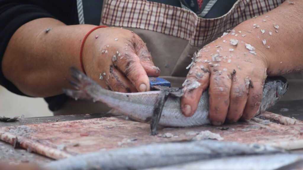 Mujer recolectando mariscos